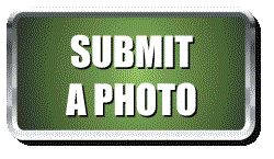 Submit a Photo